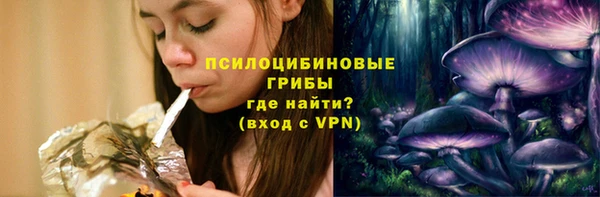 ГАЛЛЮЦИНОГЕННЫЕ ГРИБЫ Балабаново