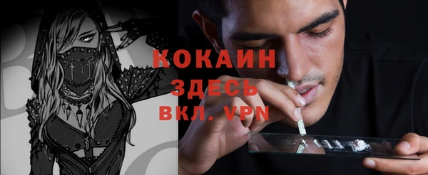 молекула духа Балахна