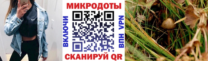 Галлюциногенные грибы мухоморы  цены наркотик  Вязники 